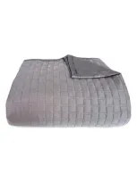 Bedvoyage Quilted Coverlet In Platinum