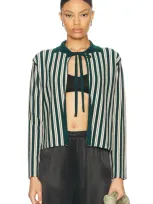 Bode Hogan Stripe Cardigan In Green Multi