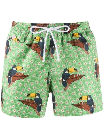 Kiton Toucan Print Swim Shorts In Green