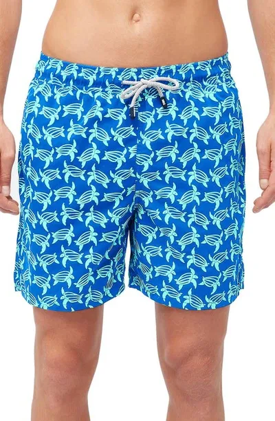 Tom & Teddy Turtle Print Swim Trunks In Blue  Ice Green