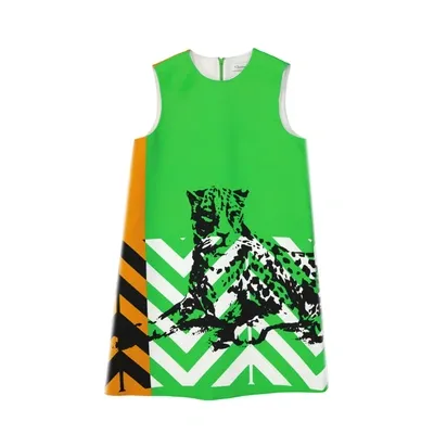 Dior Printed Mini Dress In Green