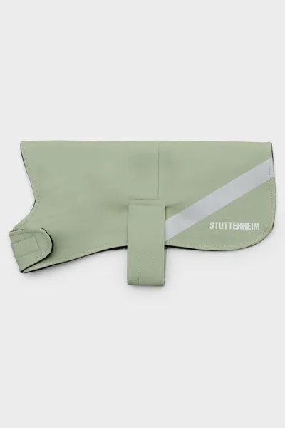 Stutterheim Dog Raincoat In Sage