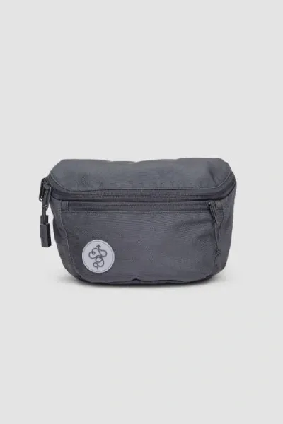 Baboon To The Moon Fannypack 3l In Gray