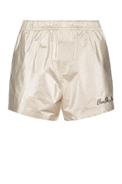 Blue Sky Inn Swim Shorts In Silver