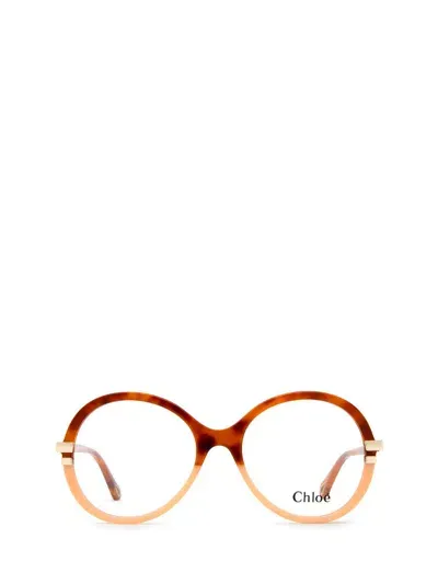 Chloé Eyeglasses In Brown