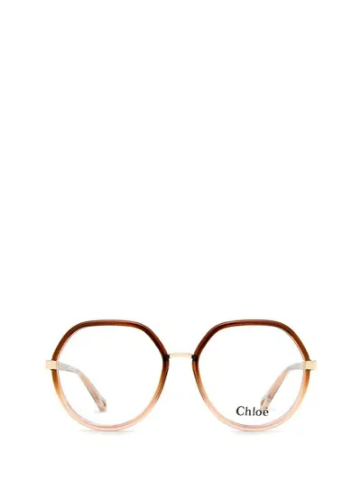 Chloé Eyeglasses In Brown