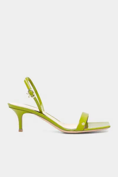 Gianvito Rossi Ribbon Kitten Slingback Sandal In Pistachio In Green