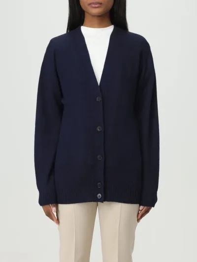 Jil Sander Sweater  Woman Color Blue