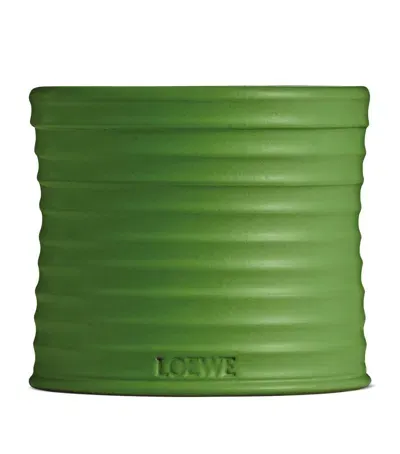 Loewe Medium Luscious Pea Candle In Green