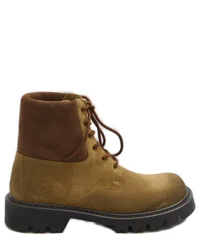 Loewe Sierra Combat Ankle Boots In Medium Tabacco Brown