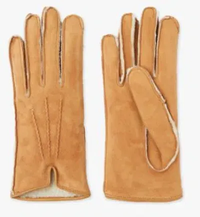 Mario Portolano Suede Gloves In Beige