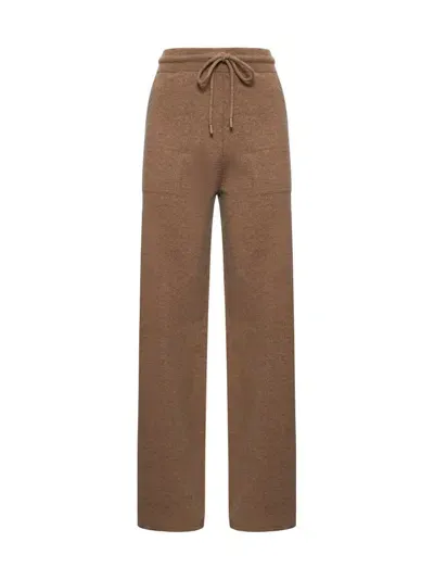 Max Mara Rino Drawstring Sweatpants In Brown