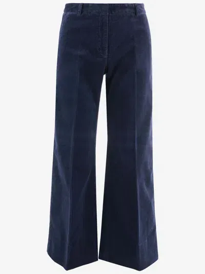 Ql2 Stretch Cotton Velvet Flared Pants In Blue