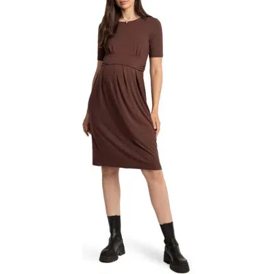 Seraphine Pleat Detail Maternity/nursing Dress In Chocolat