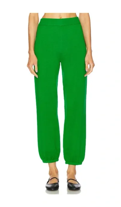 Simkhai Joggers In Green