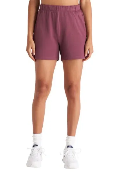 The Standard Stitch The Sweat Short In Plum