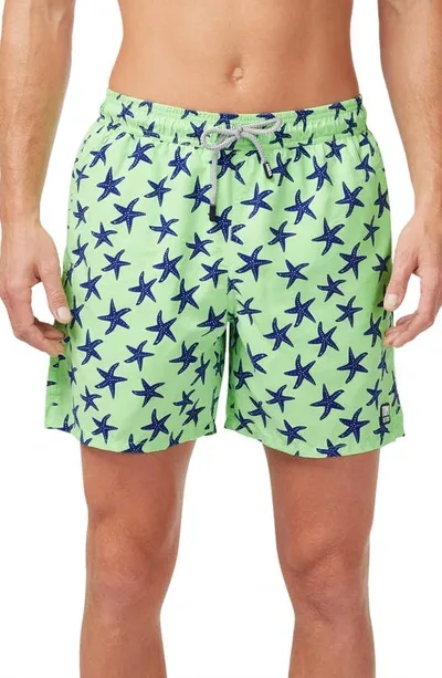 Tom & Teddy Men's Starfish-print Swim Trunks In Pale Green