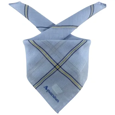 Pre-owned Aquascutum Neckerchief In Other