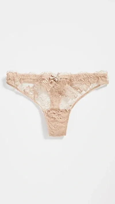 Journelle Isabel Thong In Amande