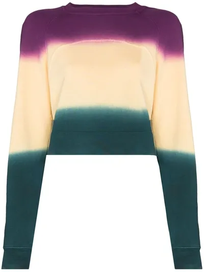 Eckhaus Latta Raglan Printed Cropped Sweatshirt In Purple