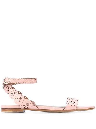 Tabitha Simmons Women's Bobbin Laser Cut Metallic Leather Sandals In Pink Shiny Calf