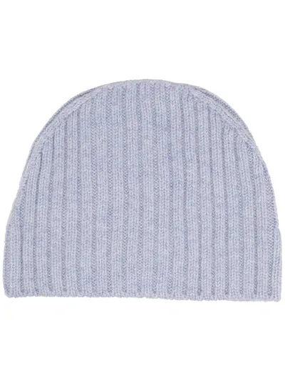 Stefan Cooke Ribbed-knit Beanie Hat In Blue