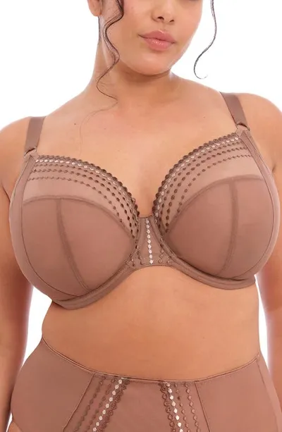 Elomi Matilda Full Figure Underwire Plunge Bra In Clove