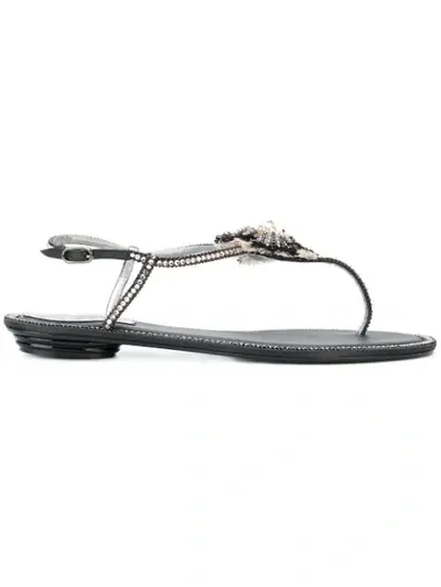 René Caovilla Rene Caovilla Flat Sandals Shoes Women Rene Caovilla In Black