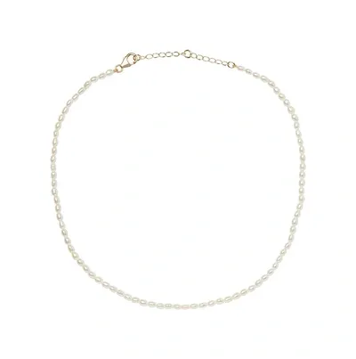 Olivia & Pearl Seed Pearl Necklace White In Spn/white/14k