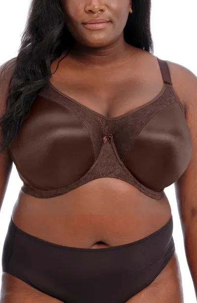 Goddess Yvette Full Figure Molded Underwire Bra In Chocolate