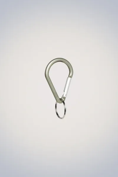 Rains Drop Carabiner In Green